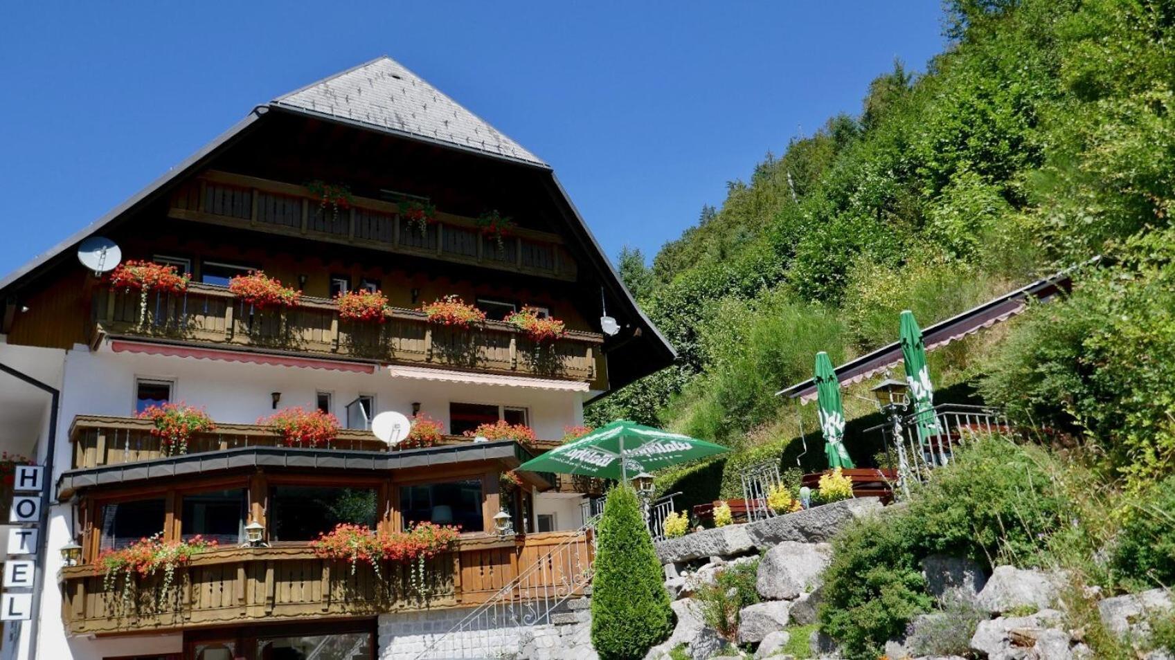 Hotel Silberfelsen Менценшванд Екстер'єр фото